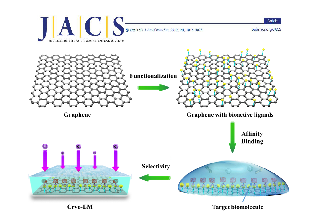 Cryo-Electron Microscopy